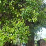 whatsapp image 2026 01 27 at 07.43.11 (2)